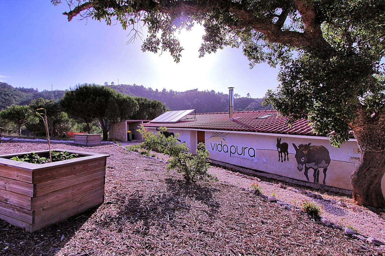 Vida Pura Apartments Odeceixe Bagian luar foto